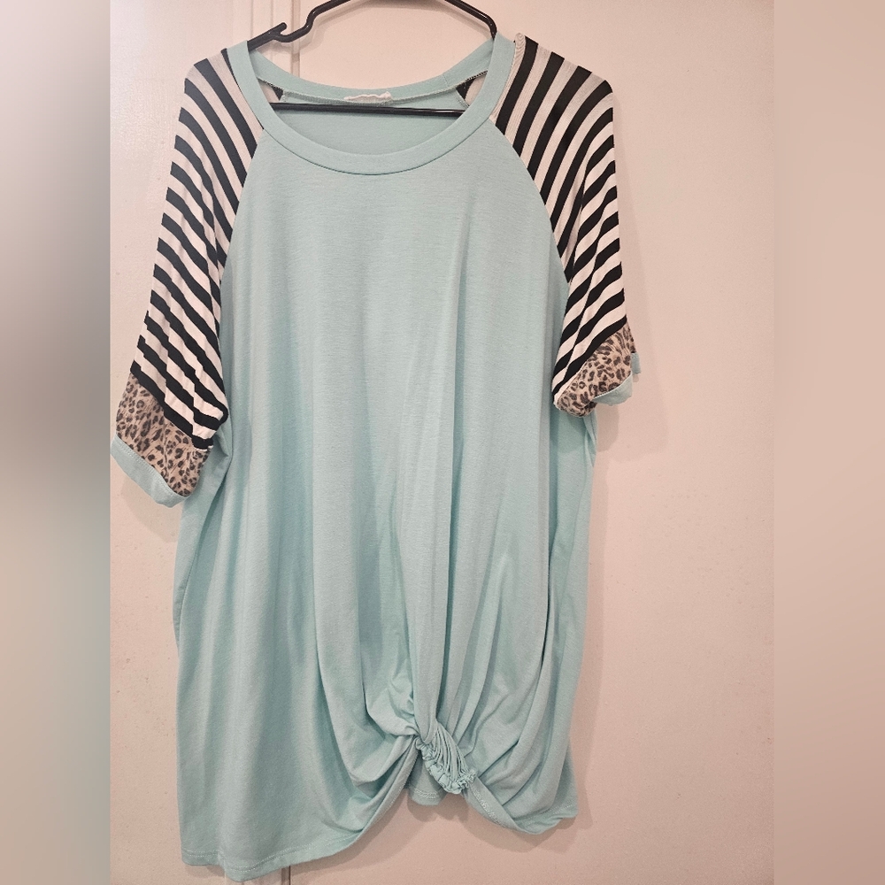 Striped And Leopard Print Sleeve Aqua Top